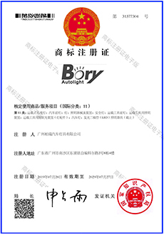 BORY Auto Light-Home